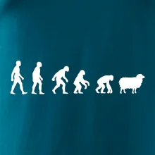 Evoluce ovce