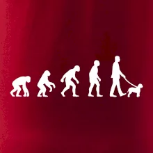 Lagotto romagnolo Evoluce