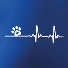 Veterinář EKG Veterinář EKG