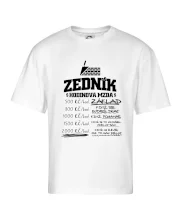 Hodinová mzda zedník