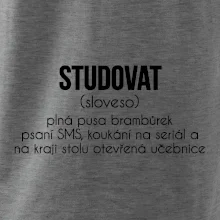 Studovat