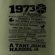 1973 v kostce