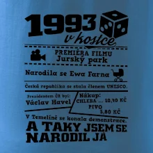 1993 v kostce