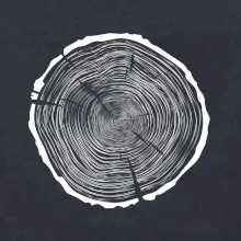 Letokruhy 85 bez věku