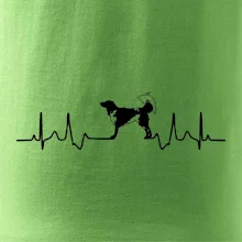 Český strakatý pes EKG