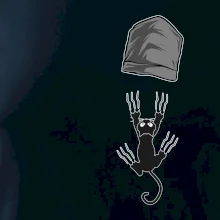 Kočka vypadla z kapsy