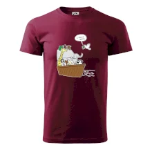 Pravda s Noemovou archou