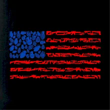 USA vlajka - zbraně