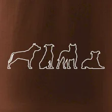 Americký stafordširský teriér v různých pozicích