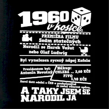 1960 v kostce
