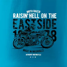 Raisin Hell Moto Racer