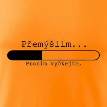 Přemýšlím