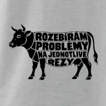 Rozebírám problémy na jednotlivé řezy