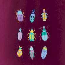 Barevní brouci (studio-arte.cz)