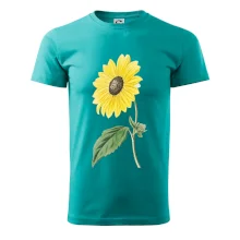 Slunečnice otočená