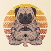Yoga meditace - pug Yoga meditace - pug