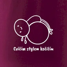 Cvičím stylem kočičím
