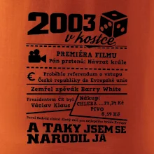 2003 v kostce