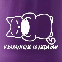 V karanténě to nedávám