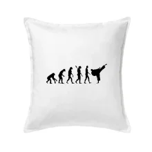 Karate Evoluce - kop