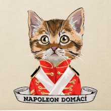 Napoleon domácí kočka