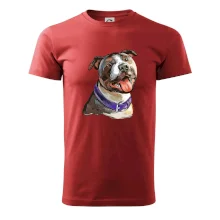 Americký stafordširský teriér  kreslený