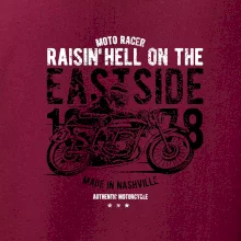 Raisin Hell Moto Racer