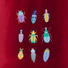 Barevní brouci (studio-arte.cz)