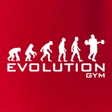Evoluce Gym