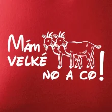 Mám velké kozy! No a co!