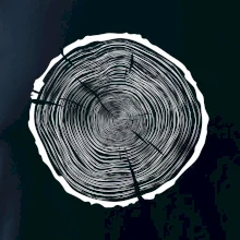 Letokruhy 85 bez věku