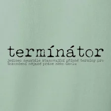 Čeština 2.0 - termínátor