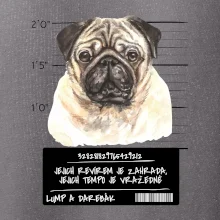 Lump a darebák mopsík