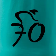 Cyklista slaví sedmdesátku (70)