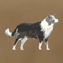 Border kolie kreslená