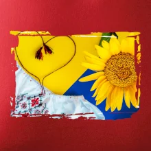 Ukrajina slunečnice a kroj Ukrajina slunečnice a kroj