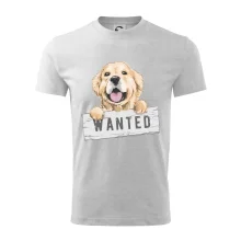 Zlatý retriever - štěně wanted