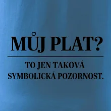 Můj plat? to jen taková symbolická pozornost