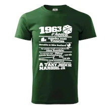 1963 v kostce