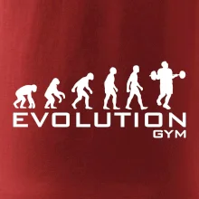 Evoluce Gym