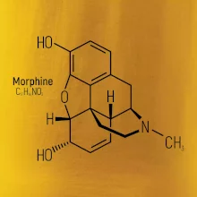 Molekulární struktura Morfin