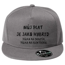 Můj plat jako hybrid