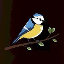 Sýkorka modřinka na větvi