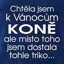 Chtěla jsem k Vánocům koně