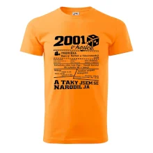 2001 v kostce