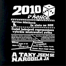 2010 v kostce