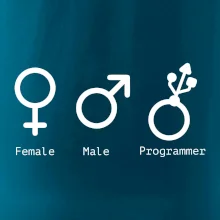 Female male programmer