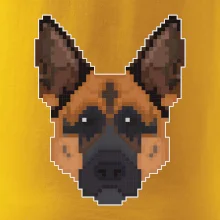 Německý ovčák - Rozkostičkovaný