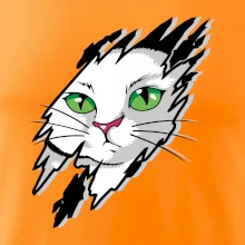 Kočka v roztrženém triku