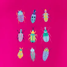 Barevní brouci (studio-arte.cz)